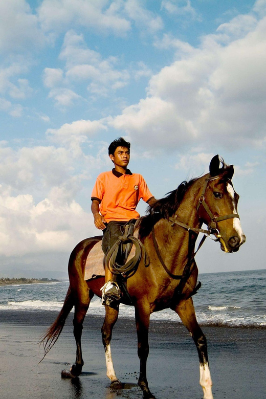 Bali Horse Riding on Black Sand Beach - Key Points