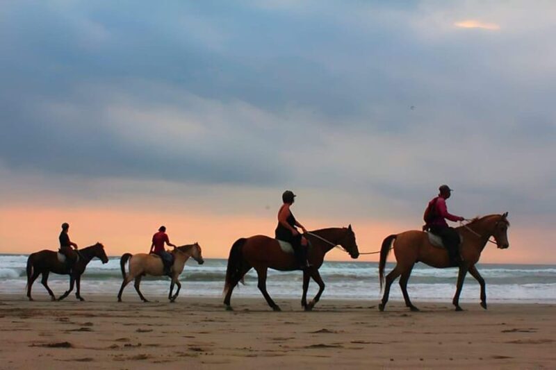 Bali Horse Riding on Black Sand Beach - Rider Safety