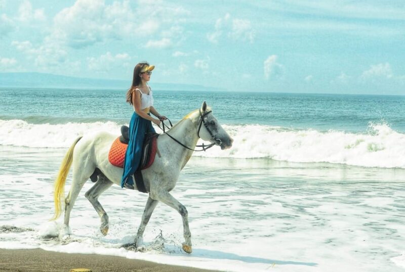 Bali : Horse Riding On The Beach - Experience Highlights