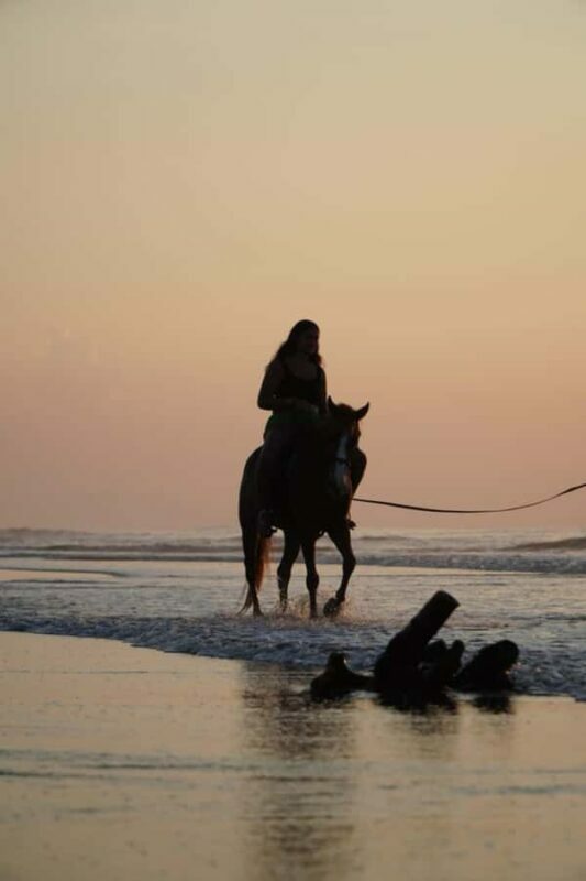 Bali: Horse Riding Sanur Beach Experience with Transport - The Itinerary and What to Expect
