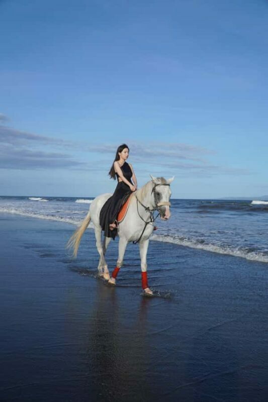 Bali: Horse Riding Sanur Beach Experience with Transport - The Cost and Value: Is It Worth It?