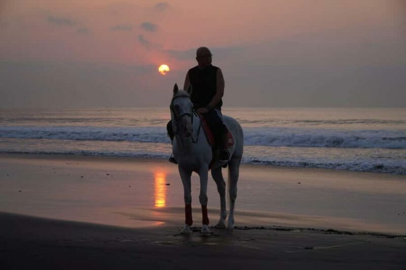 Bali: Horse Riding Sanur Beach Experience with Transport - Who Will Love This Experience?