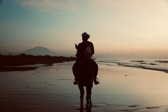 Bali Horse Riding Sanur Beach include Transport - Exploring the Bali Horse Riding Experience