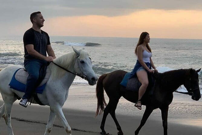 Bali Horse Riding Seminyak Beach Experience Private Transport - Key Points