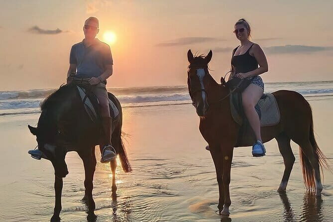 Bali Horse Riding Seminyak Beach Experience Private Transport - Who Will Love This Tour?