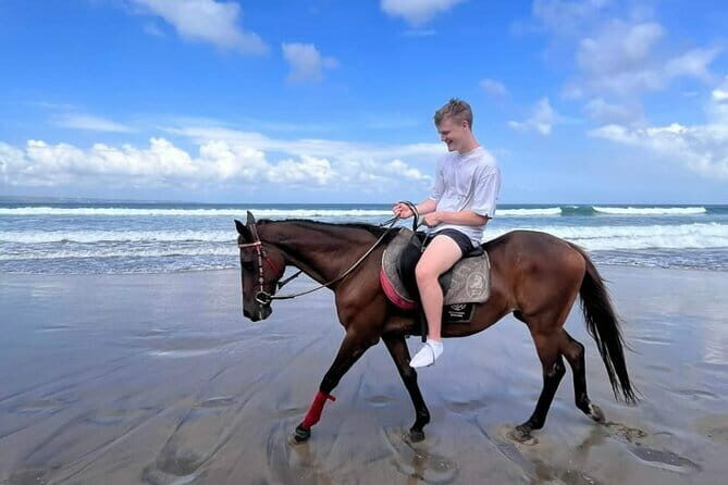 Bali Horse Riding Seminyak Beach Experience Private Transport - Final Thoughts