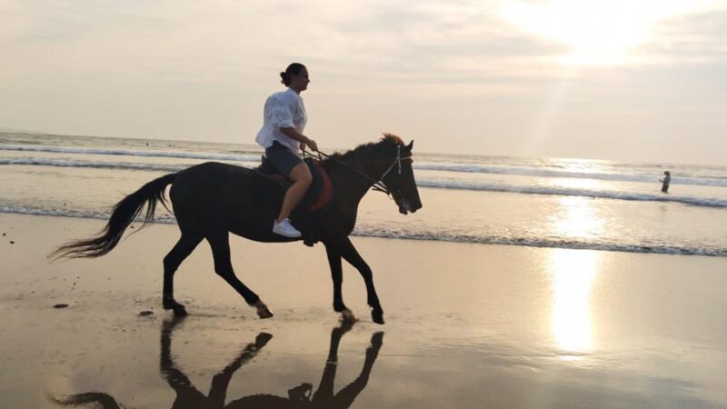 Bali: Horse Riding Tour on Seminyak Beach Include Transport - Important Information