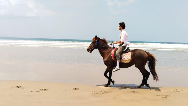 Bali: Horse Riding Tour on Seminyak Beach Include Transport - Customer Reviews