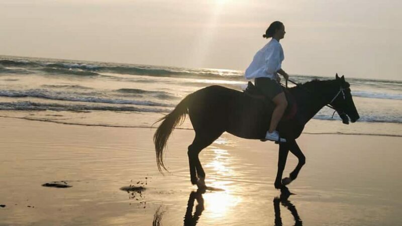 Bali: Horse Riding Tour on Seminyak Beach Include Transport - Key Points
