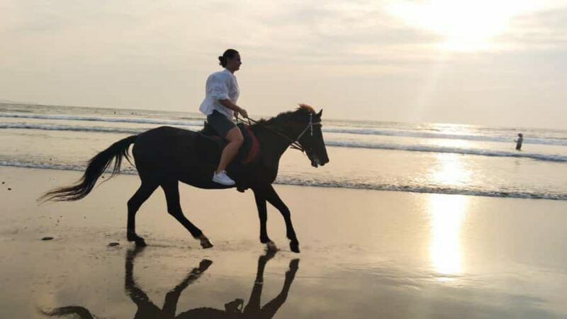 Bali: Horse Riding Tour on Seminyak Beach Include Transport - The Value: How Much Does It Cost?