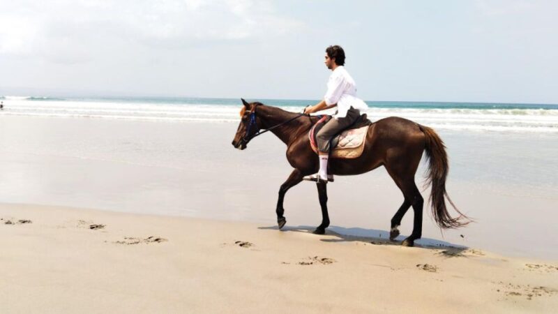 Bali: Horse Riding Tour on Seminyak Beach Include Transport - Key Points