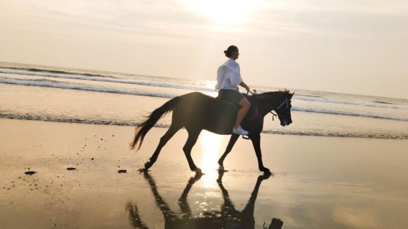 Bali: Horse Riding Tour on Seminyak Beach Include Transport - Tour Highlights