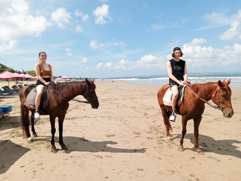 Bali: Horse Riding Tour on Seminyak Beach Include Transport - Customer Reviews and Feedback