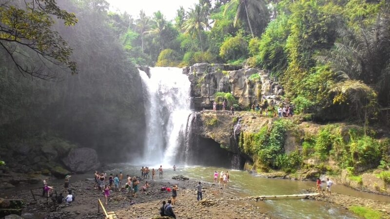 Bali Horse Riding + Waterfall + Rice Terrace + Lunch - Itinerary Highlights