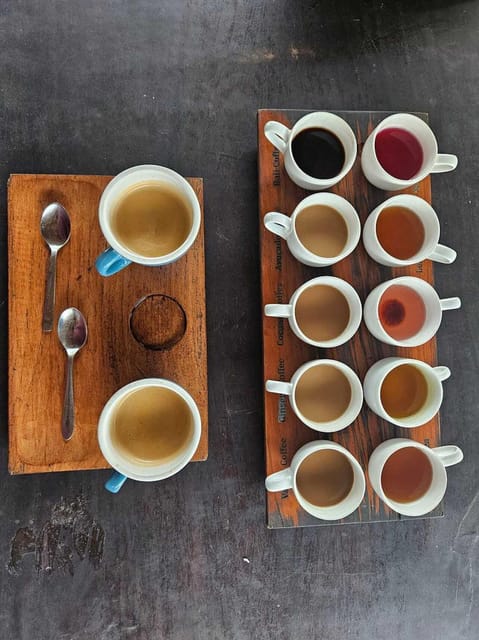 Bali Horse Riding + Waterfall + Rice Terrace + Lunch - Horse Riding Experience