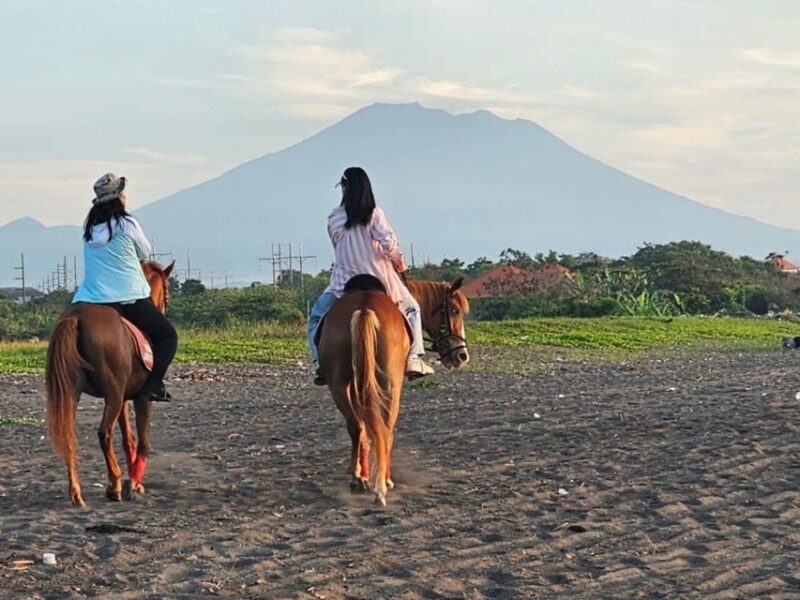 Bali Horse Riding + Waterfall + Rice Terrace + Lunch - Tegalalang Rice Terraces