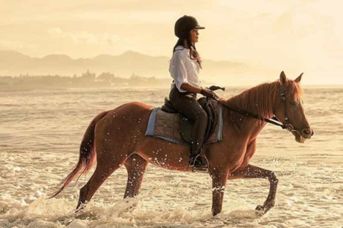 Bali Horse Riding + Waterfall + Rice Terrace + Lunch - Coffee Plantation Tour
