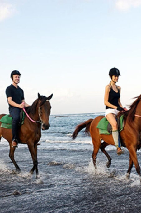 Bali Horse Riding + Waterfall + Rice Terrace + Lunch - Transportation and Pickup