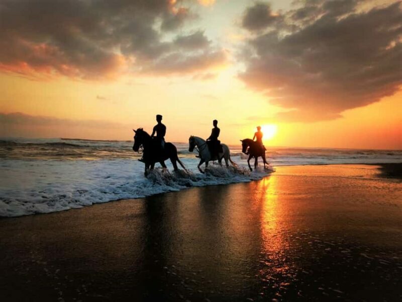 Bali: Horseback Riding Tour - Rice Fields & Pig Stone Beach - An Overview of the Experience
