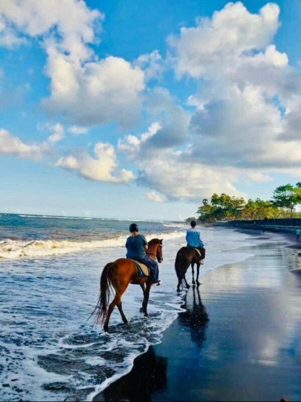 Bali: Horseback Tour Through Saba Beach and Local Temples. - The Post-Ride Experience