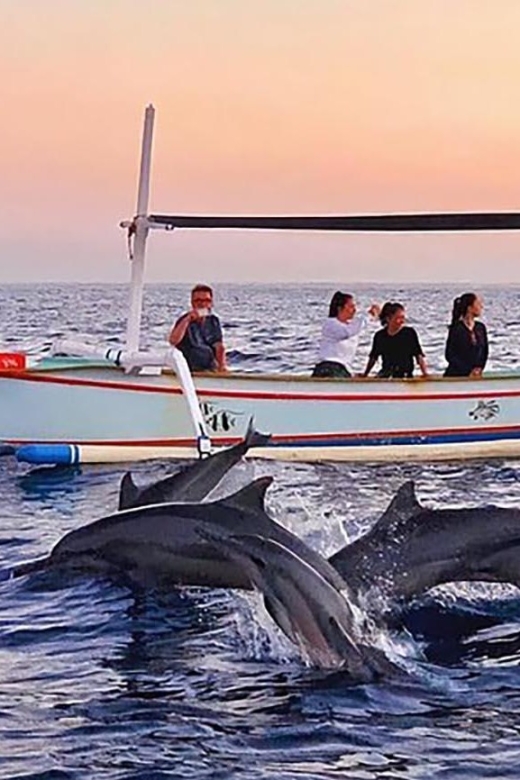 Bali: Iconic Handara Gate With Dolphin Watching Tour - Inclusions