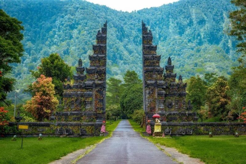 Bali: Iconic Handara Gate With Dolphin Watching Tour - Dolphin Watching Experience