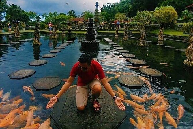 Bali Iconic - Waterfall, Swing & Temple Private Tours - Inclusions