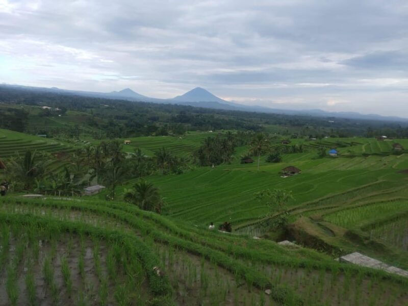 Bali in 1 Day : Iconic Temples -Unesco Sight - All Inclusive - Ulun Danu Bratan Temple