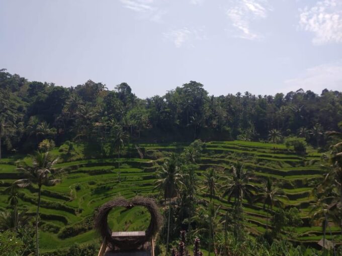 Bali in 1 Day : Iconic Temples -Unesco Sight - All Inclusive - Frequently Asked Questions
