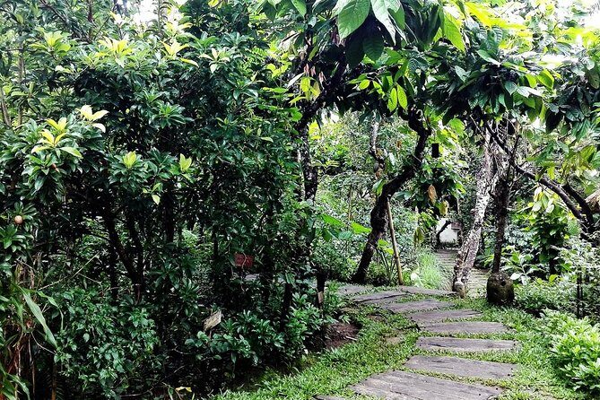 Bali in 1-Day : Rice Terrace, Volcano, Tanah lot - All Inclusive - Who Will Love This Tour?