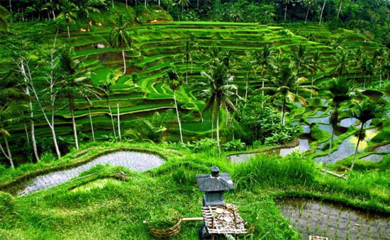 Bali Instagenic Tour - Frequently Asked Questions