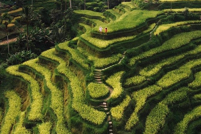 Bali Instagram Tour - All Inclusive - Pickup and Accessibility