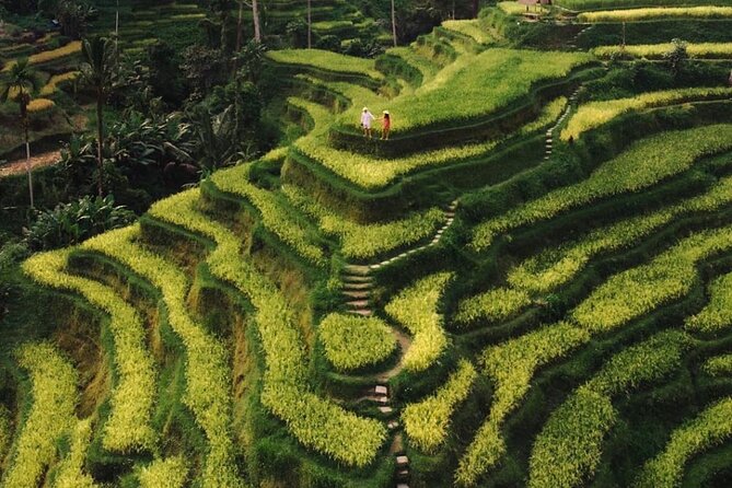 Bali Instagram Tour - All Inclusive - Booking Information