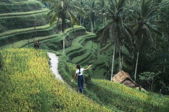 Bali Instagram Tour from Your Hotel (Private & Full-day) - Summary
