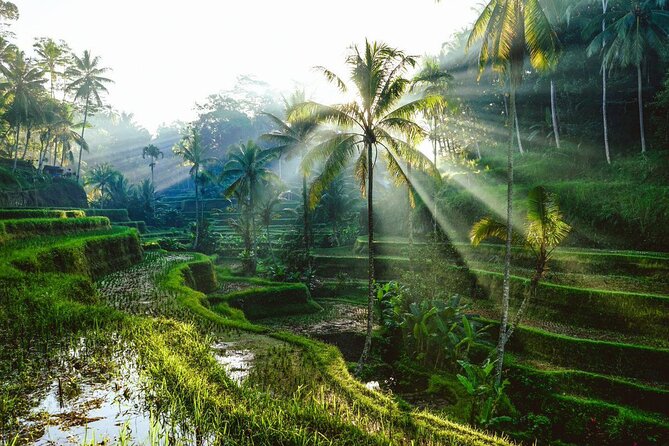 Bali Instagram Tour: The Most Beautiful Spots - Booking and Cancellation Policy