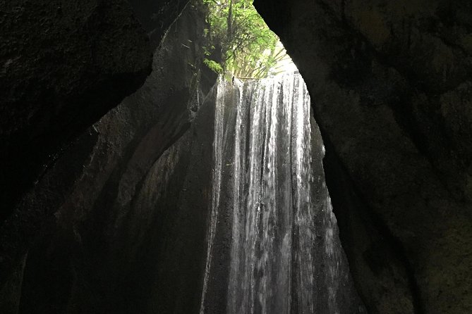 Bali Instagram Tour: The Most Popular Spots ( Private All-Inclusive ) - Breaks and Refreshments