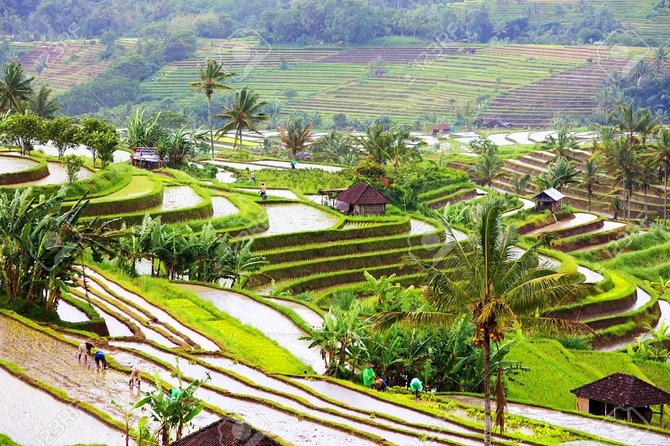 Bali Instagram, Waterfall, & Swing - Photogenic Spots