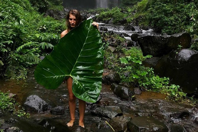 Bali Instagramable Private Tour - Pickup Information