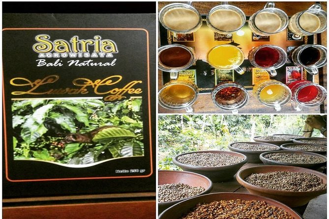 Bali Instagramable Tour - Convenience and Flexibility