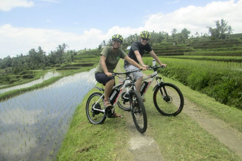 Bali: Jatiluwih Full-Day E-Bike and Trekking Tour - Inclusions and Logistics