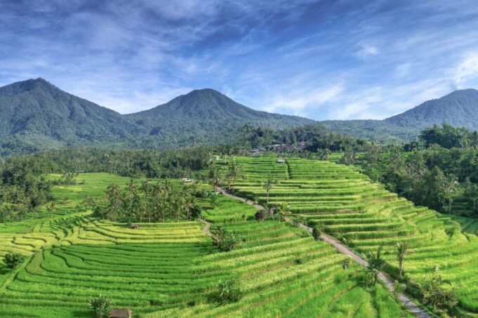 Bali: Jatiluwih Full-Day E-Bike and Trekking Tour - Exploring Jatiluwih Rice Terraces