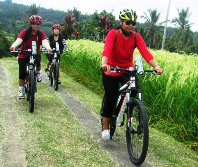 Bali: Jatiluwih Full-Day E-Bike and Trekking Tour - Stunning Volcanic Landscapes