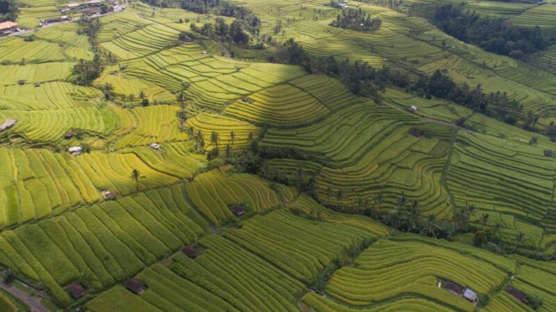 Bali Jatiluwih Rice Terrace and Tanah Lot Tour - UNESCO Tour - Inclusions