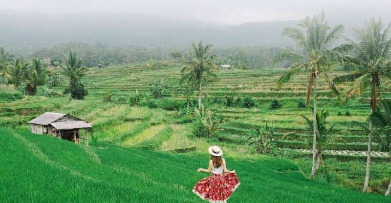 Bali : Jatiluwih Rice Terrace, Hidden Gem Waterfall & Temple - Key Points