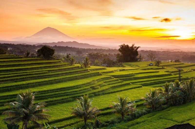 Bali: Jatiluwih Rice Terrace Sunrise Trekking With Breakfast - Itinerary and Highlights