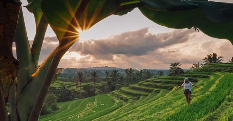 Bali: Jatiluwih Rice Terrace Sunrise Trekking With Breakfast - Transportation and Guide