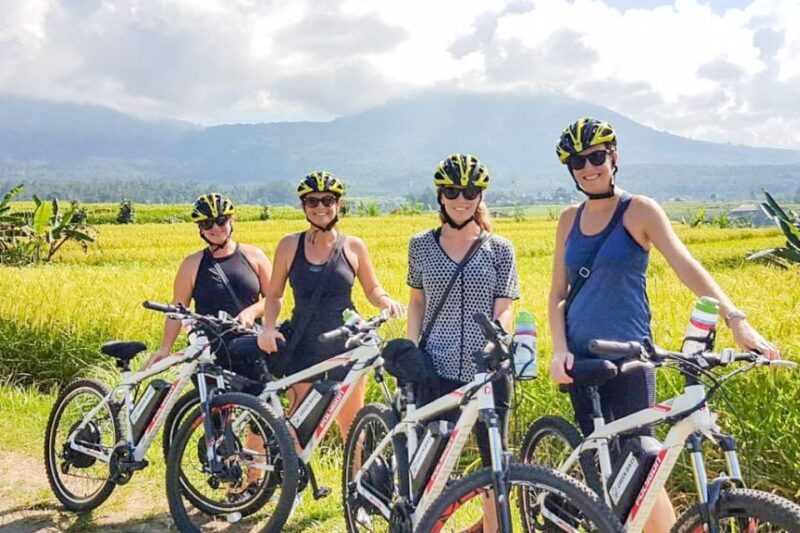Bali: Jatiluwih Rice Terraces 1 Hour Electric Bike Tour - Activity Highlights