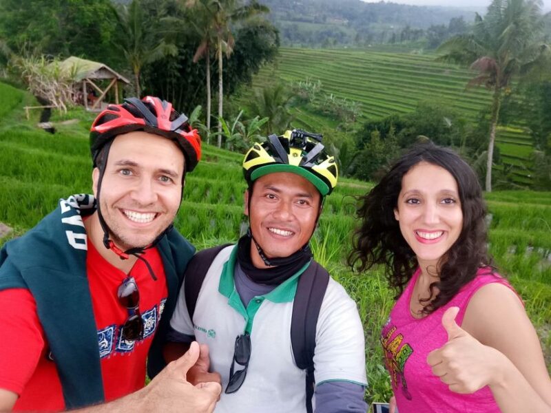 Bali: Jatiluwih Rice Terraces 1 Hour Electric Bike Tour - Inclusions and Restrictions