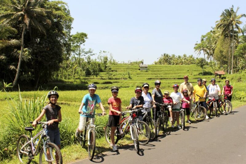 Bali: Jatiluwih Rice Terraces 1 Hour Electric Bike Tour - Meeting Point and Reviews
