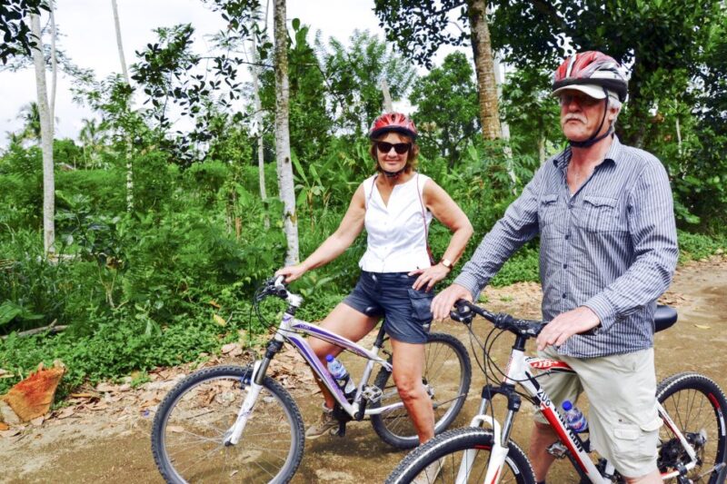 Bali: Jatiluwih Rice Terraces 1 Hour Electric Bike Tour - Culture and Landscapes